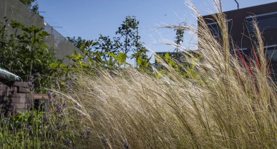 Veerkracht - Jaarverslag 2021