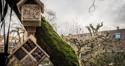 Insectenhotel voor duurzaamheid
