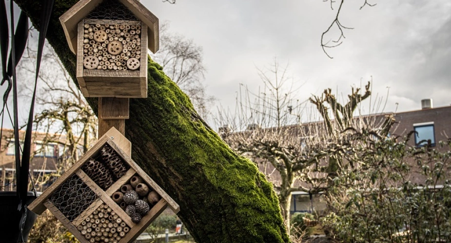 Insectenhotel voor duurzaamheid
