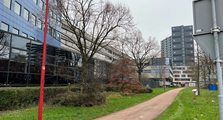 Talmalaan wordt Robuust Groen